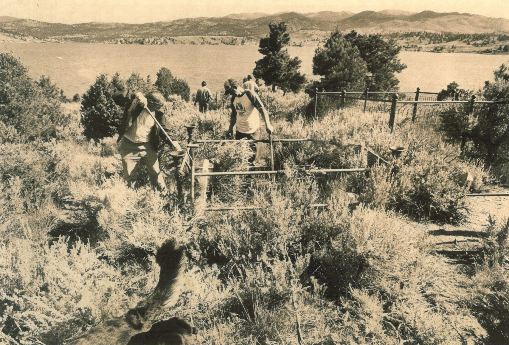 Cemetery Island - 1984